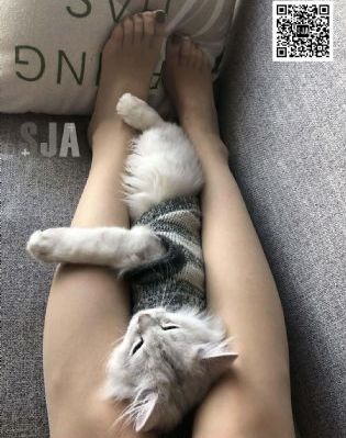 黄页免费观看视频COMWWW_1080免费在线播放